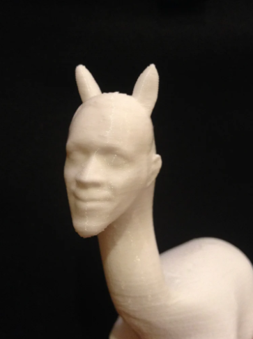 Obama Llama - Image 2